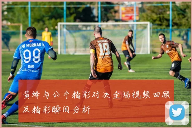 黄蜂与公牛精彩对决全场视频回顾及精彩瞬间分析