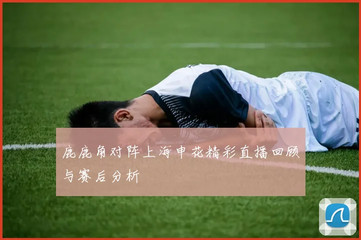 鹿鹿角对阵上海申花精彩直播回顾与赛后分析