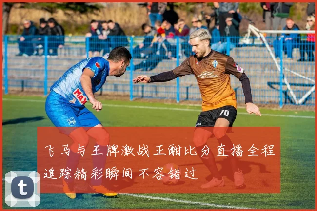 飞马与王牌激战正酣比分直播全程追踪精彩瞬间不容错过