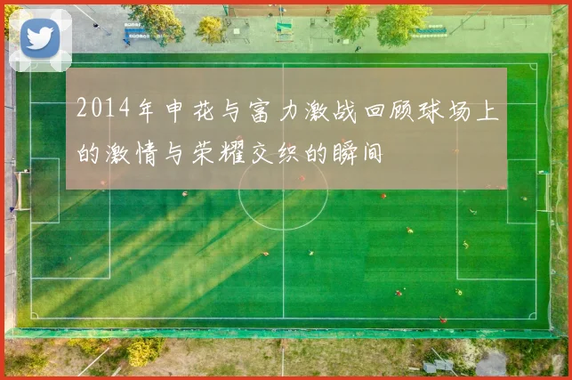 2014年申花与富力激战回顾球场上的激情与荣耀交织的瞬间