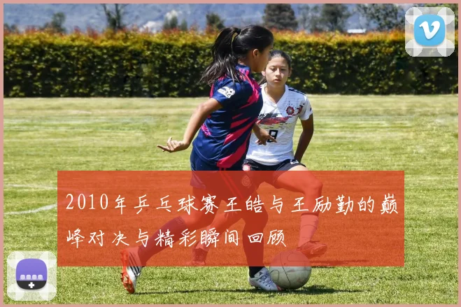 2010年乒乓球赛王皓与王励勤的巅峰对决与精彩瞬间回顾