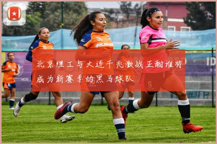 北京理工与大连千兆激战正酣谁将成为新赛季的黑马球队
