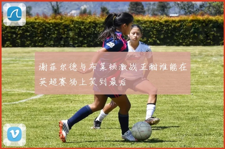 谢菲尔德与布莱顿激战正酣谁能在英超赛场上笑到最后
